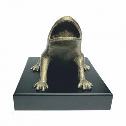 Trofeo juego de rana con peana frente